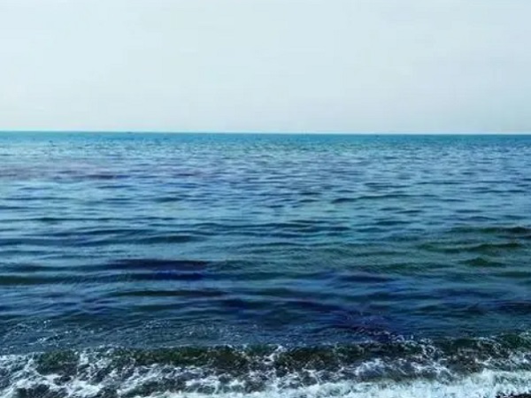 日本核廢水將排海-影響何以估量？